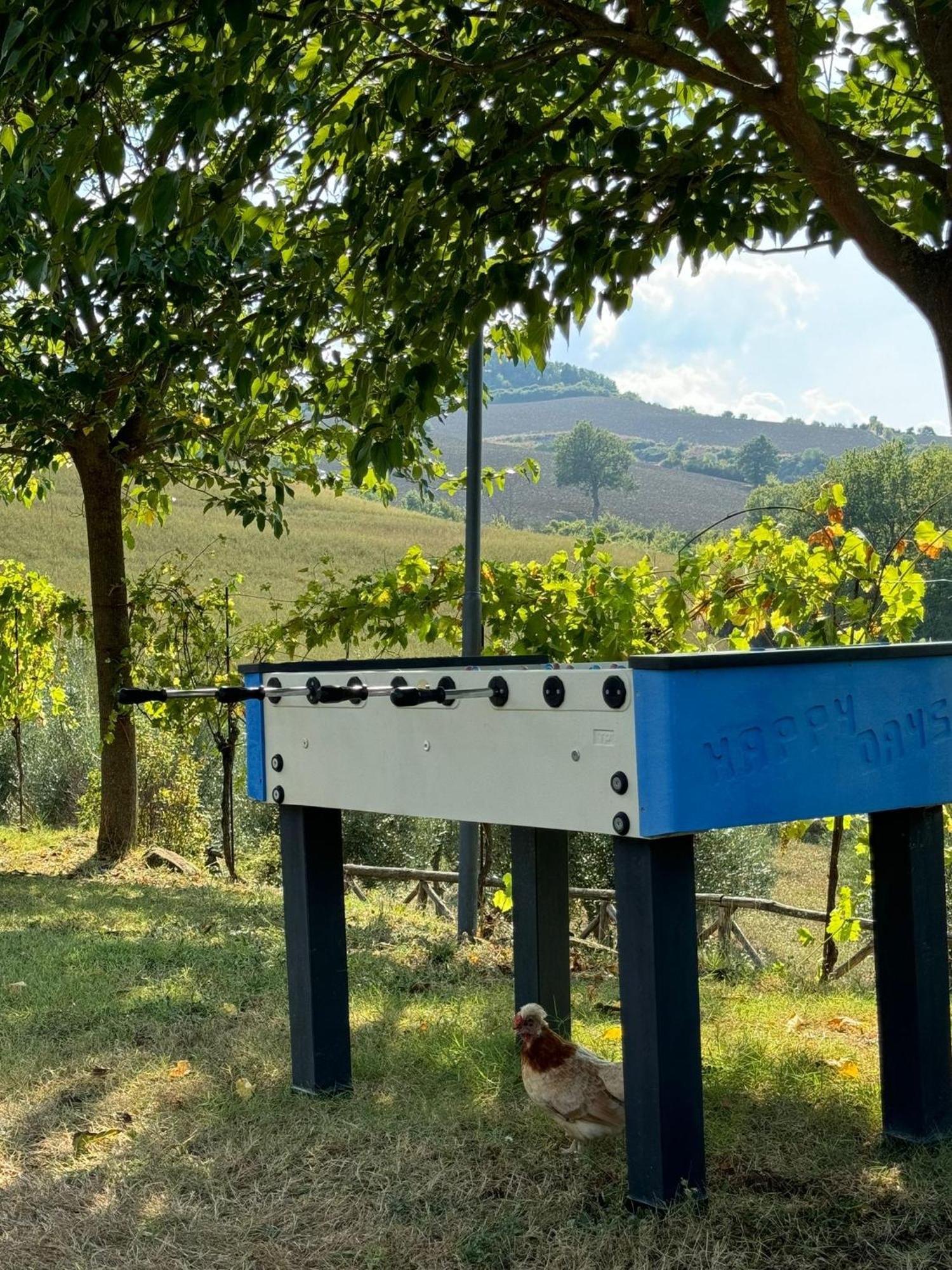 Agriturismo La Valle Dimenticata Urbania Exteriör bild